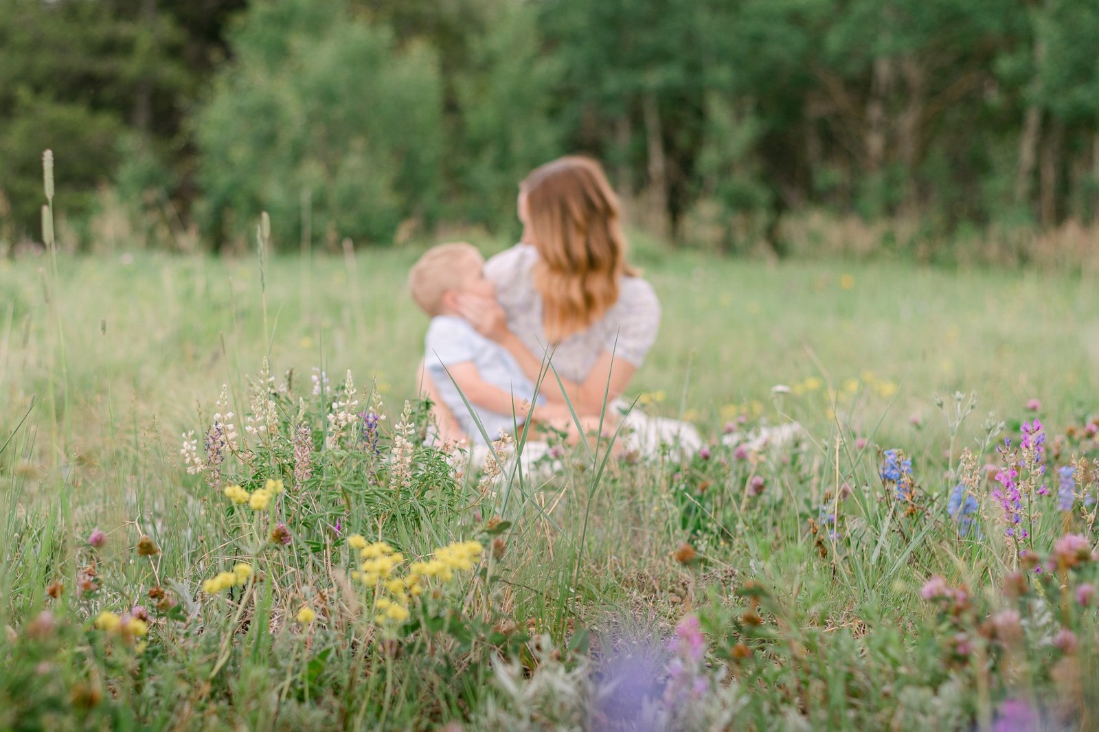 A photo of wildflowers with a mother and her son in the background during a motherhood portrait session in Nederland Colorado