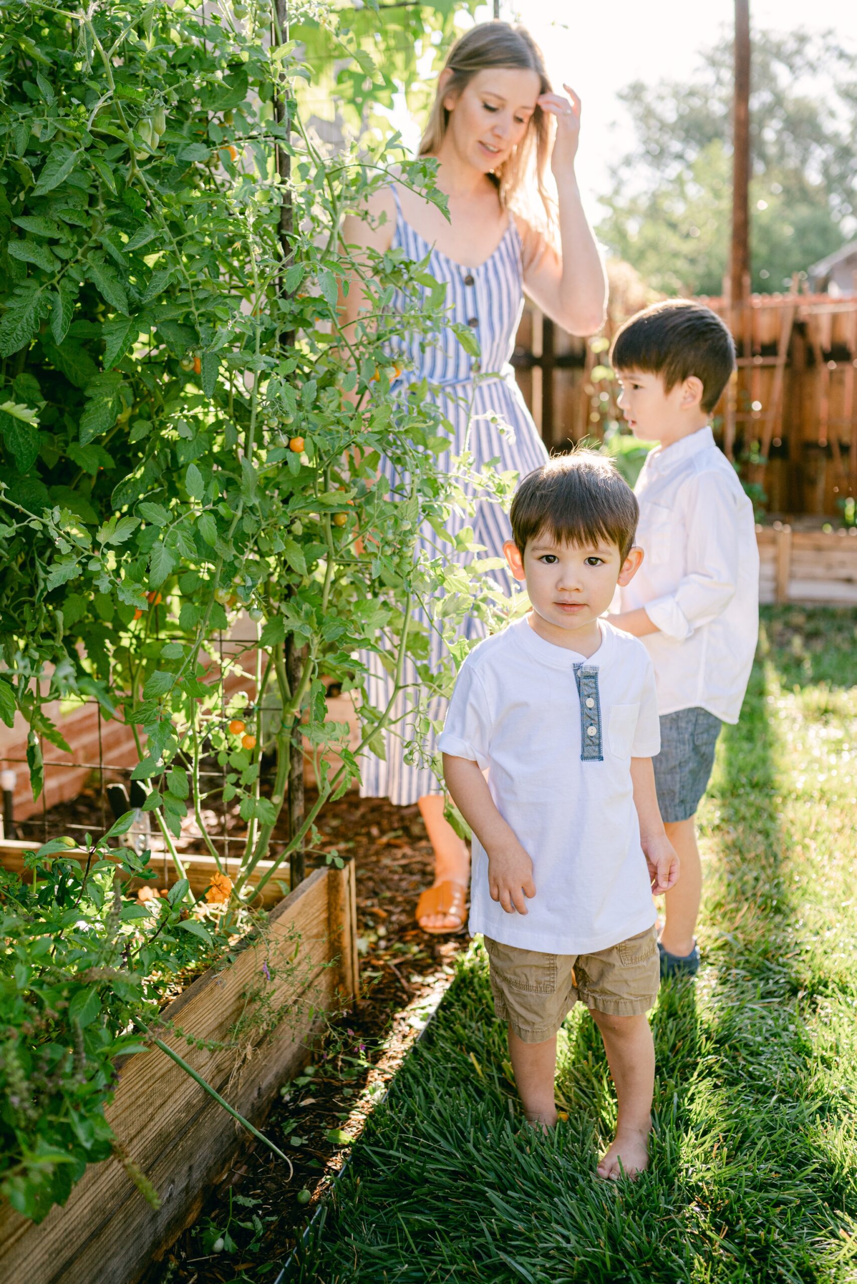 Pictures of a mother and son picking cherry tomatoes in their vegetable garden in Denver Colorado