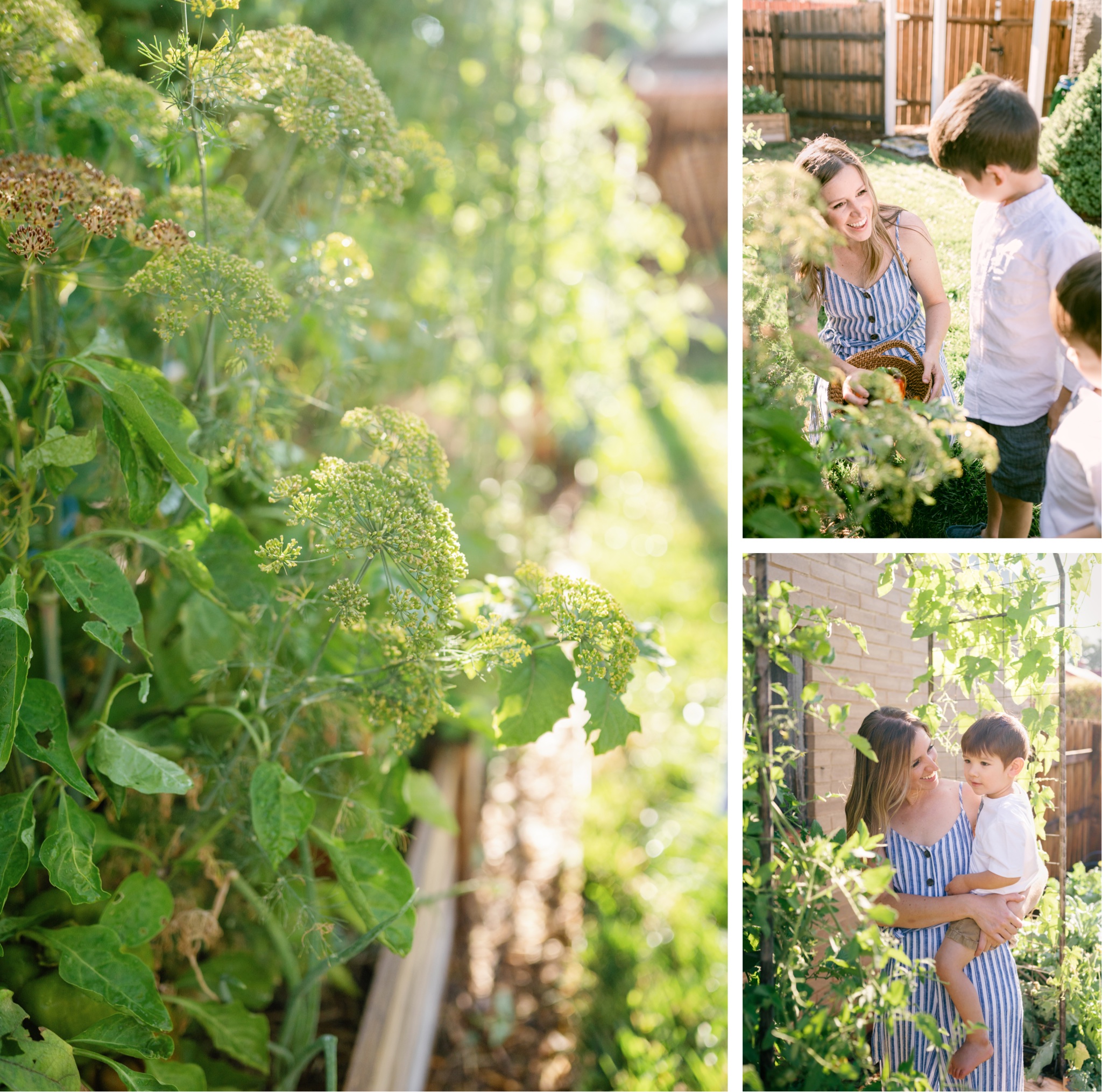 A young mother and her sons having fun in their vegetable garden in Denver Colorado during a motherhood photoshoot
