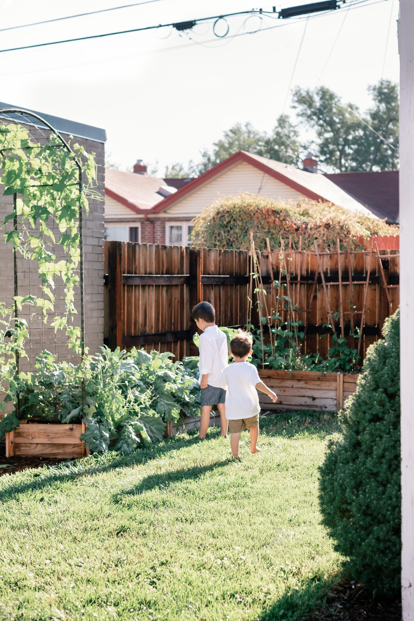 Two brothers running out to their vegetable garden in Denver Colorado during a motherhood photoshoot
