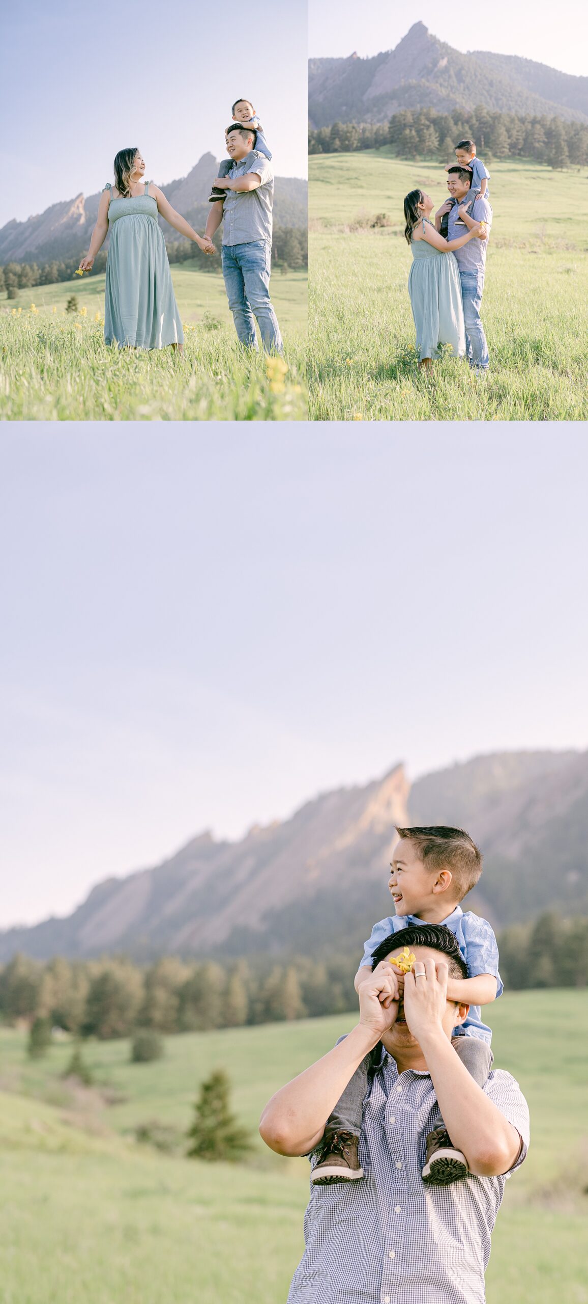 Young family of three having their family photos taken in a field of yellow sunflowers with the Flatirons in the background during spring.