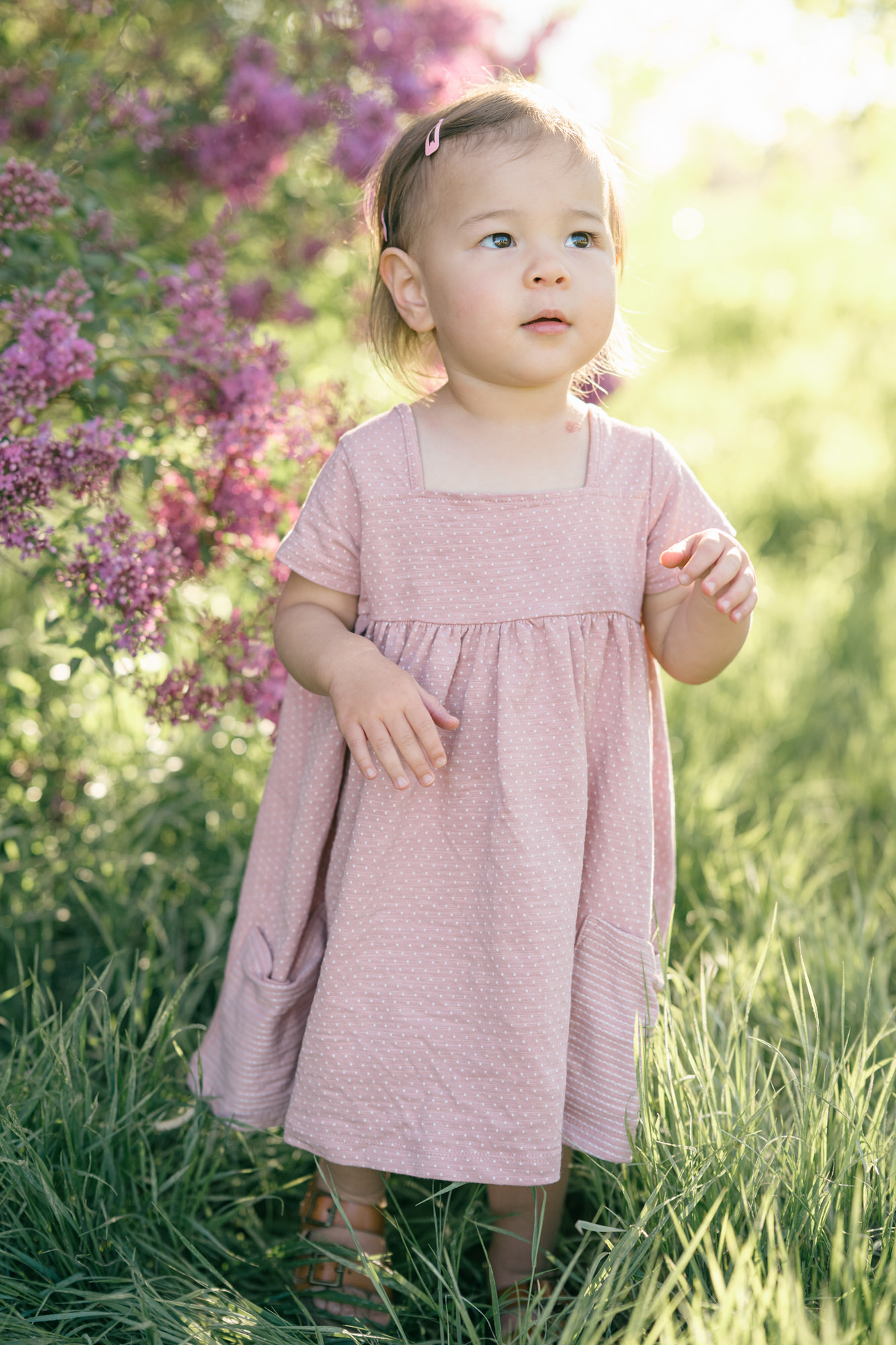 Spring Family Photos in Denver with lilacs in the background