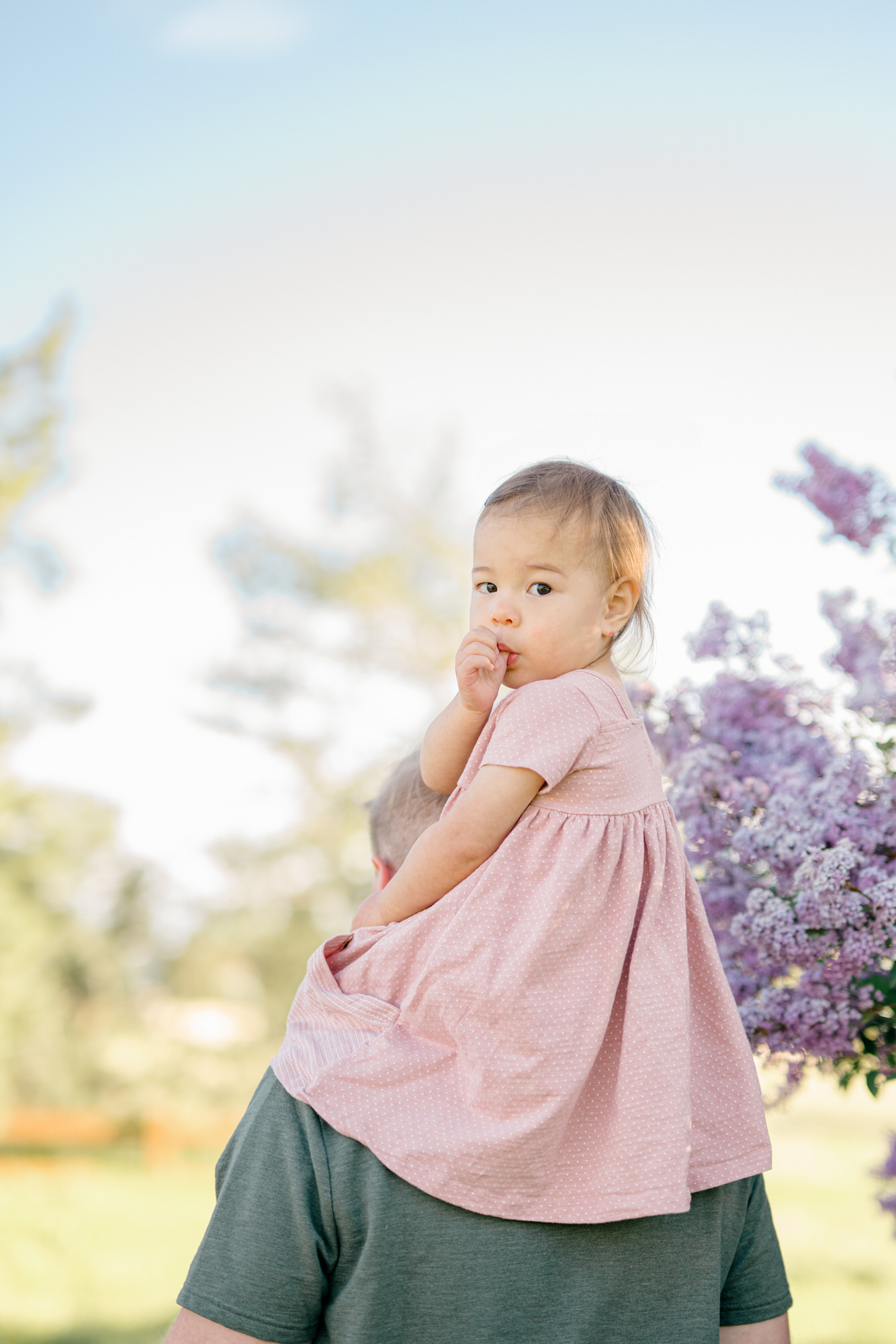 Spring Family Photos in Denver with dad giving toddler a piggyback ride with purple lilacs in the background